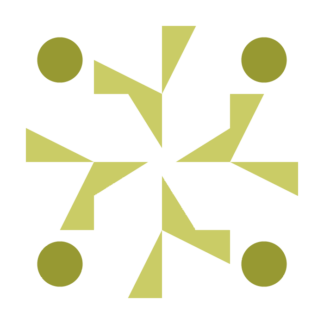 Incredible Bronze Car