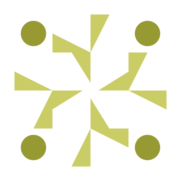 Incredible Bronze Car